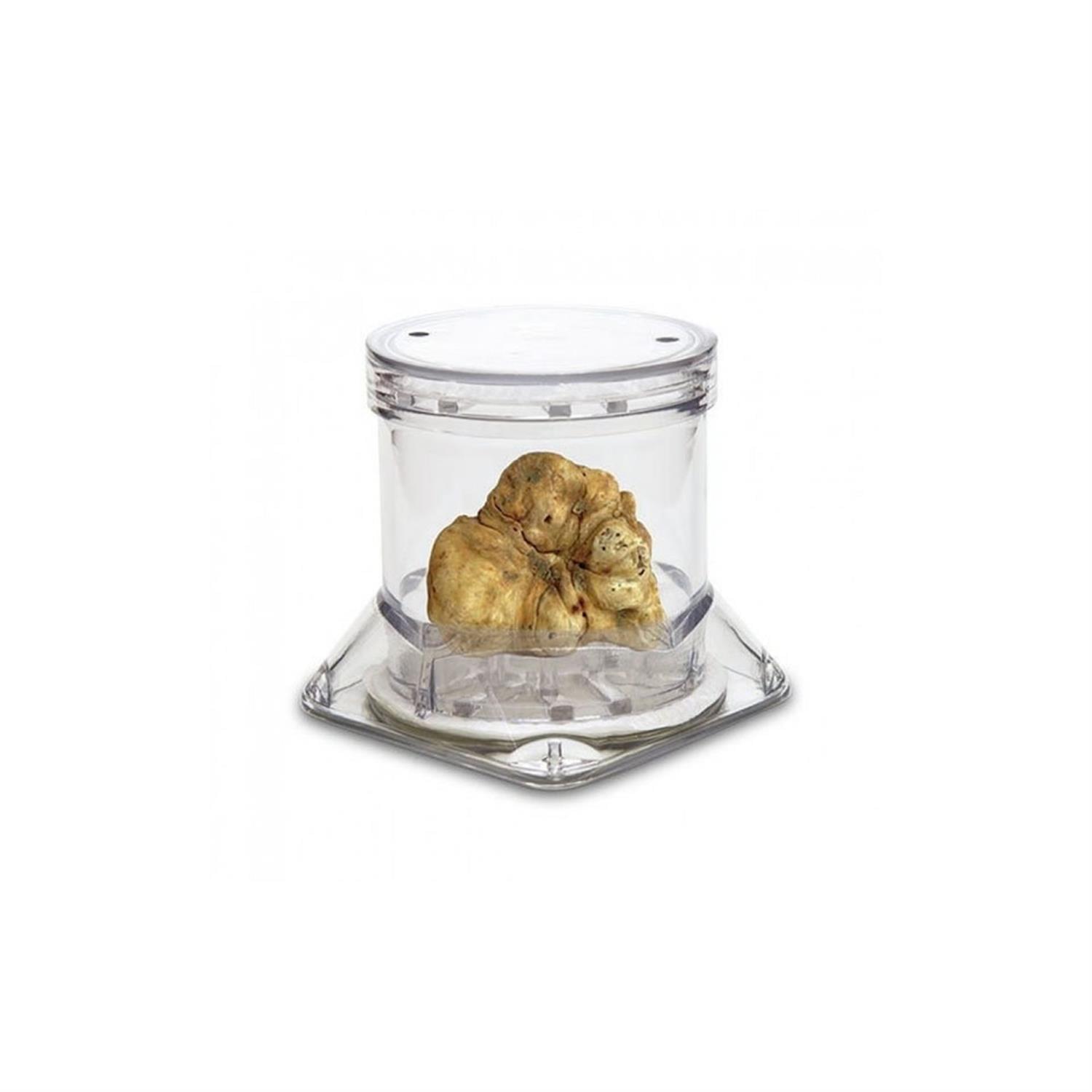 Sanelli Ambrogio Tuber-Pack truffle jar